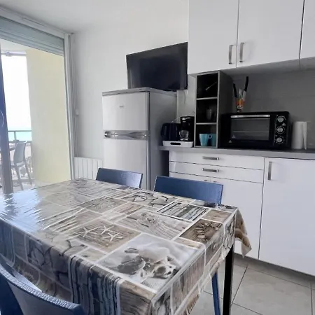 Magnifique T2 Climatise Avec Terrasse A - Fr-1-748-7 *