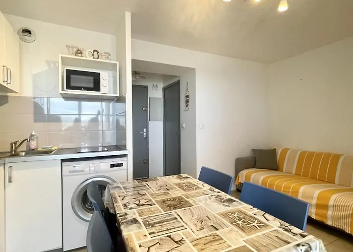 Appartement Magnifique T2 Climatisé Avec Terrasse à - Fr-1-748-7 Canet-en-Roussillon